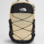 Gravel/TNF Black