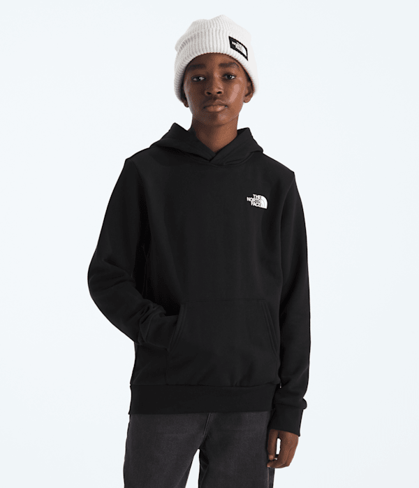 Boys-Girls-Evolution-Print-Box-NSE-Pullover-Hoodie-TNF-BACK.png
