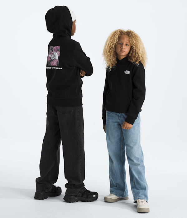 Boys-Girls-Evolution-Print-Box-NSE-Pullover-Hoodie-TNF-HERO.png