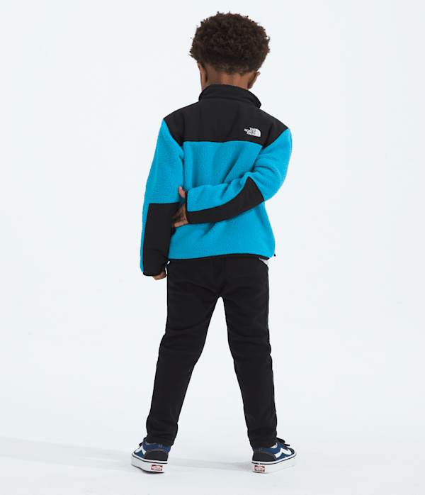 Kids-Denali-Jacket-TNF-BACK.png