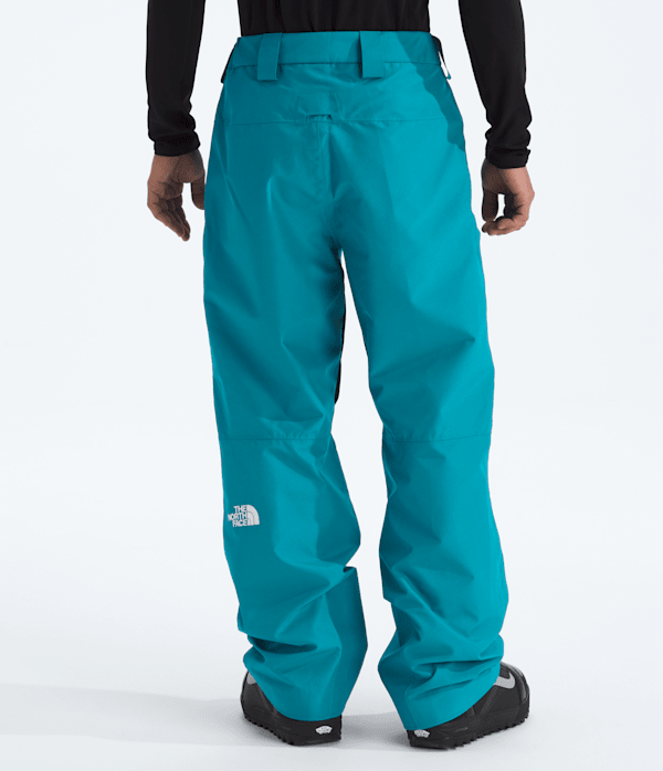 Mens-GORETEX-Dawnstrike-Pants-TNF-BACK.png