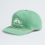Dimmed Algae-Est 1966 Graphic